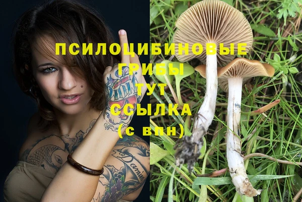 круглые Аркадак