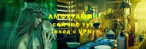 стаф Покровск