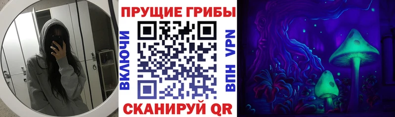 Галлюциногенные грибы Psilocybine cubensis  Шали 