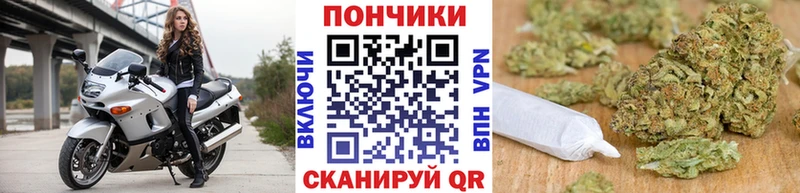 где продают   Шали  OMG ссылки  Бошки Шишки тримм 